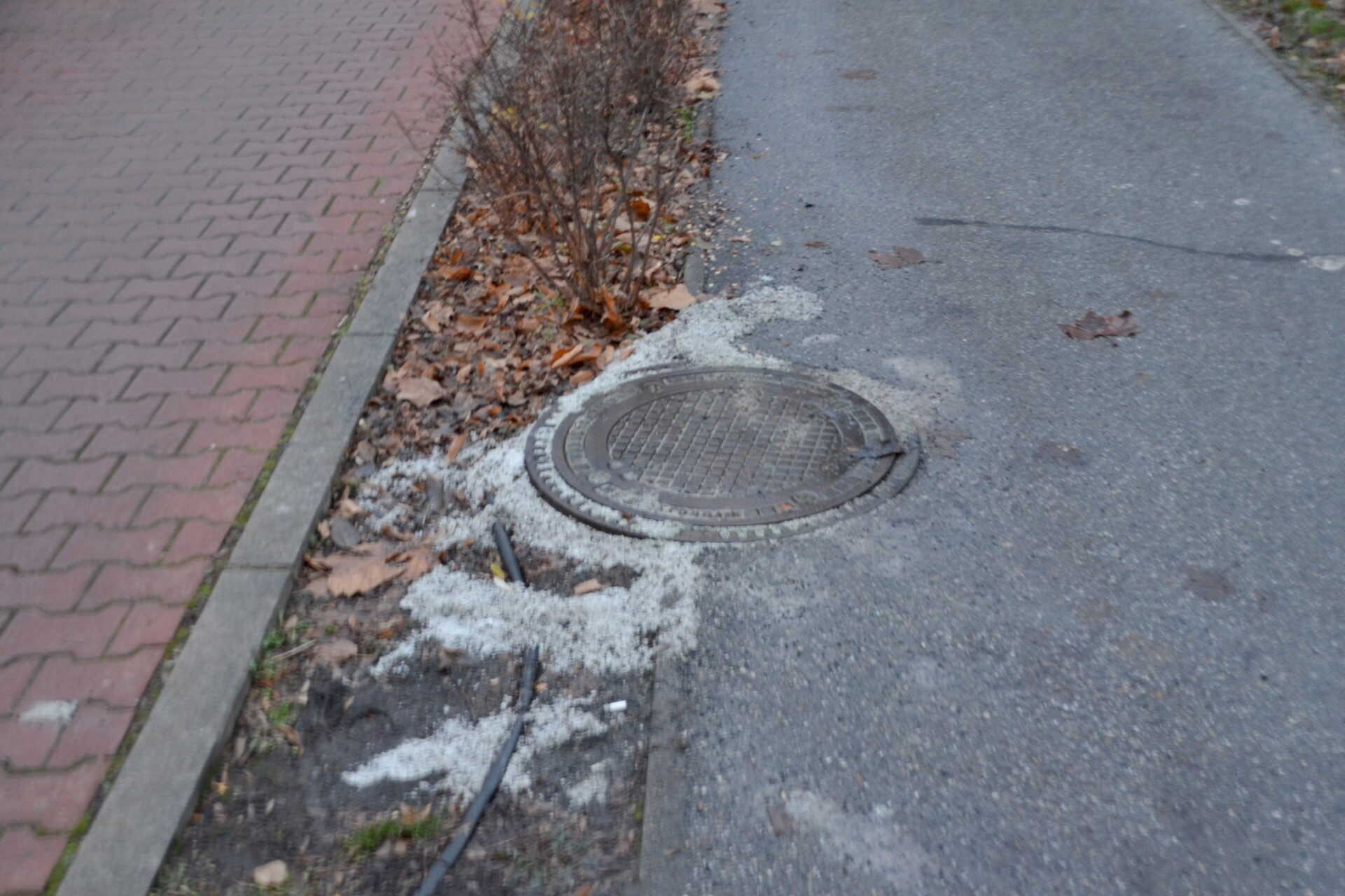 Belemossa abba a sovány földbe a sót az eső. Itt az a növény is el fog pusztulni, ami eddig még bírta.