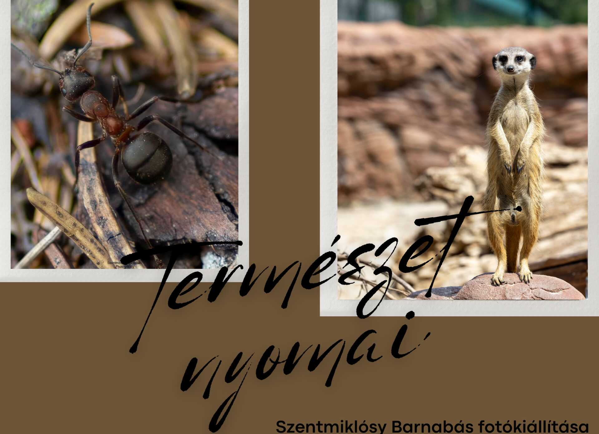 fotókiállítás