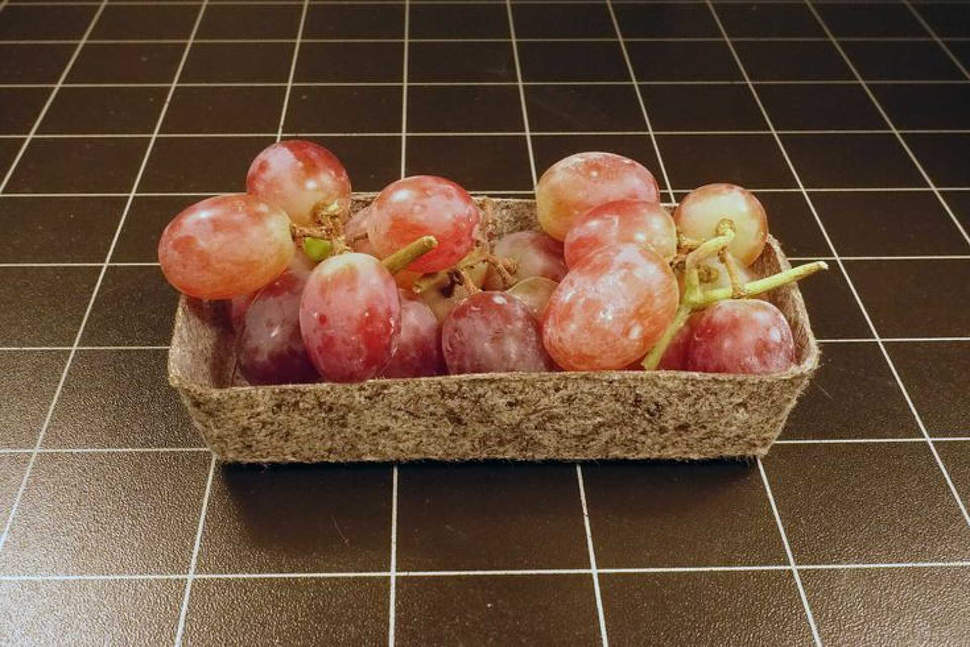 Bio-csomagolóanyag