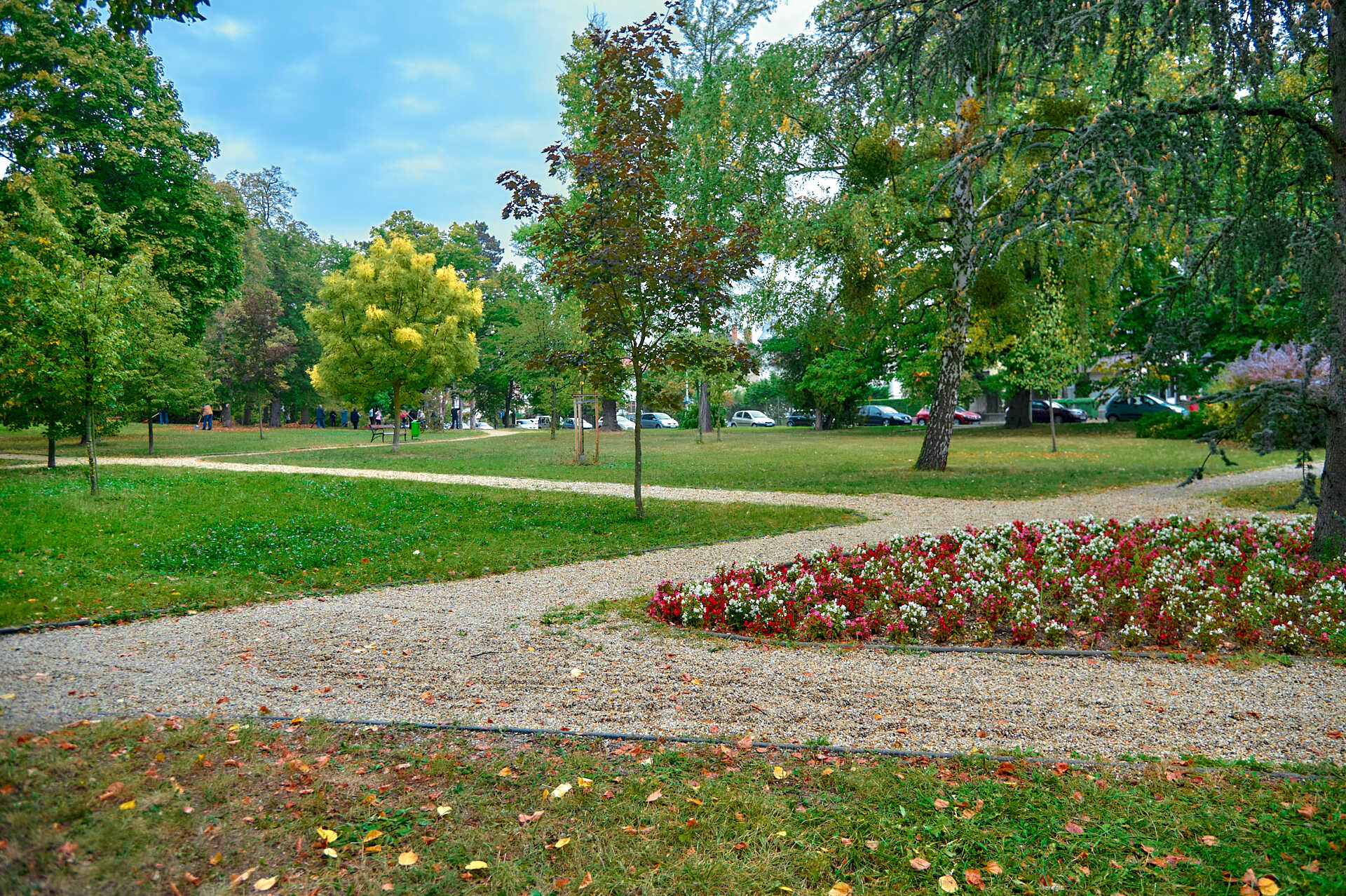 Fogadj örökbe egy parkot-Szent István park