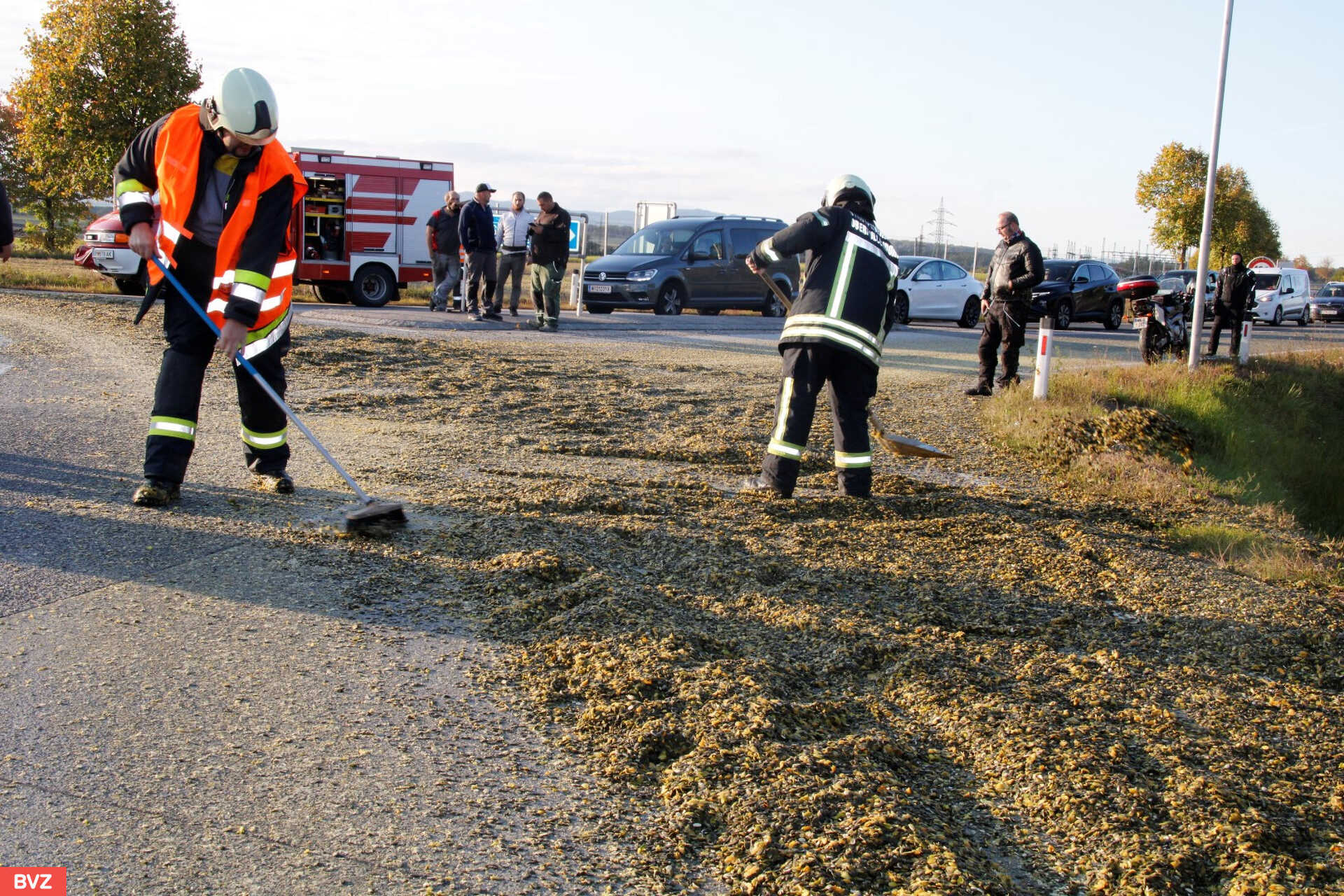 Tökmag az úton