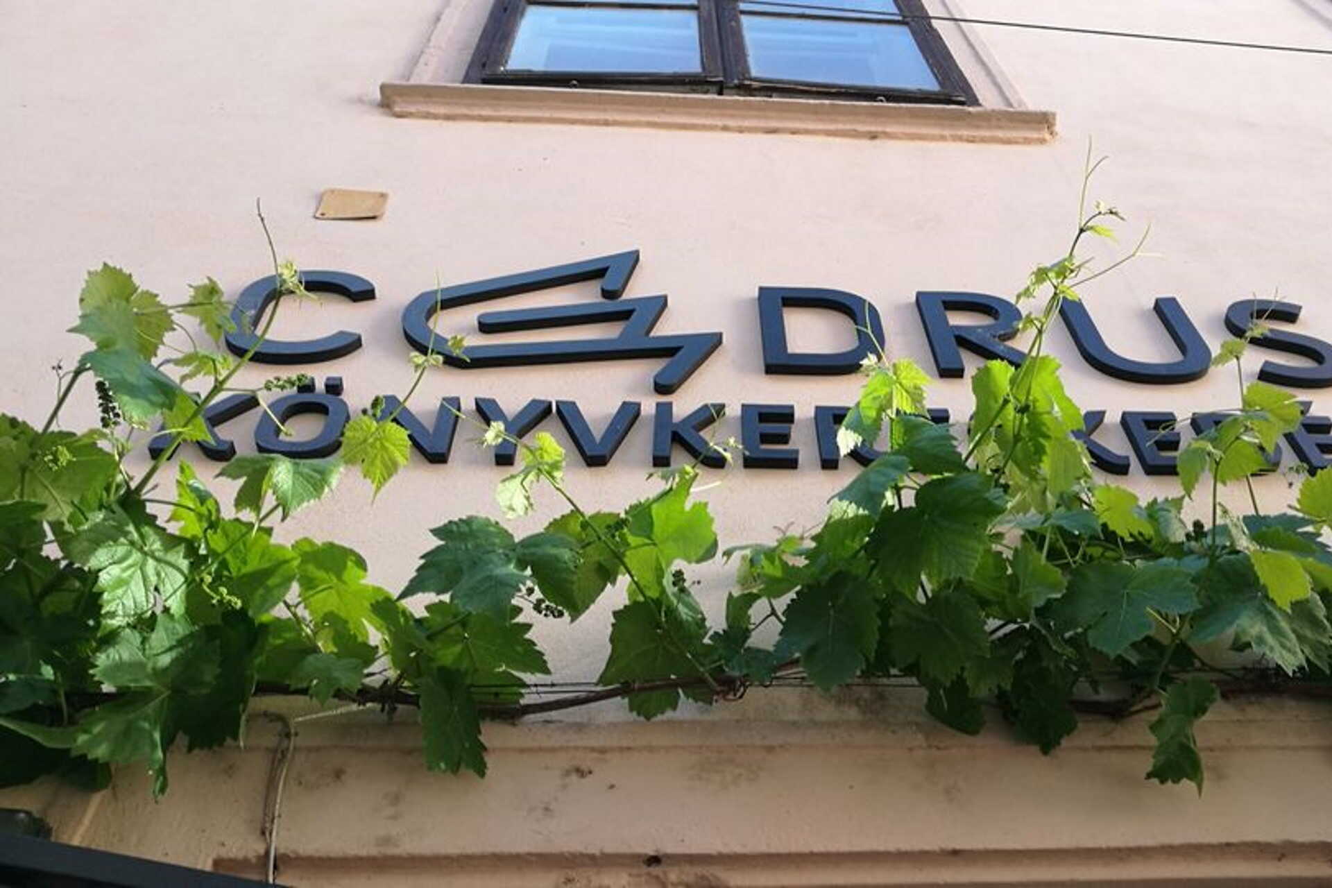 Cédrus Könyvkereskedés Sopron